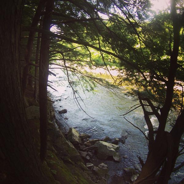 FishDrift's tweet image. AuSable River, New York! #flyfishing #fishing #gowiththeflow #driftfishing #fishdrift #NewYork #river