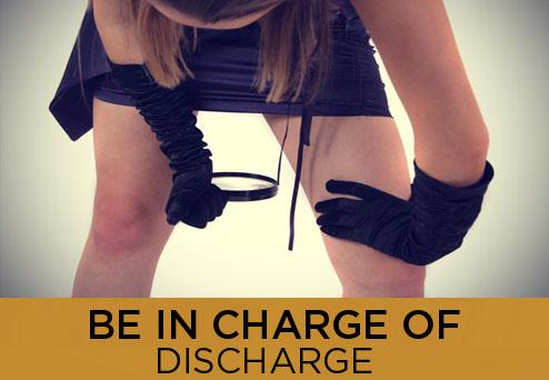 Shecky's tweet media