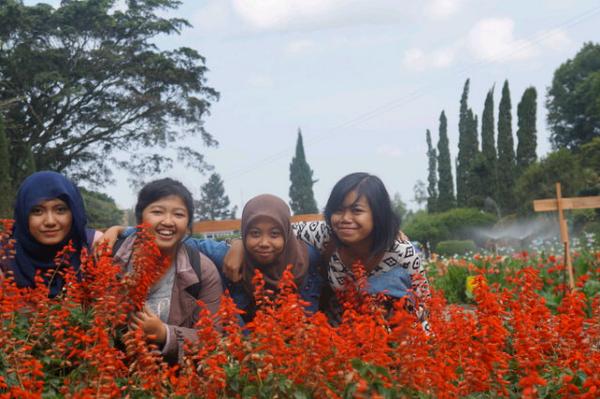 Edisi selecta with semprul..