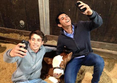 revistaopolvo's tweet image. #povômetro #selfie #expointer2014

Conseguiu tirar tua selfie na @expointer_rs desse ano?

zip.net/bgpwlc