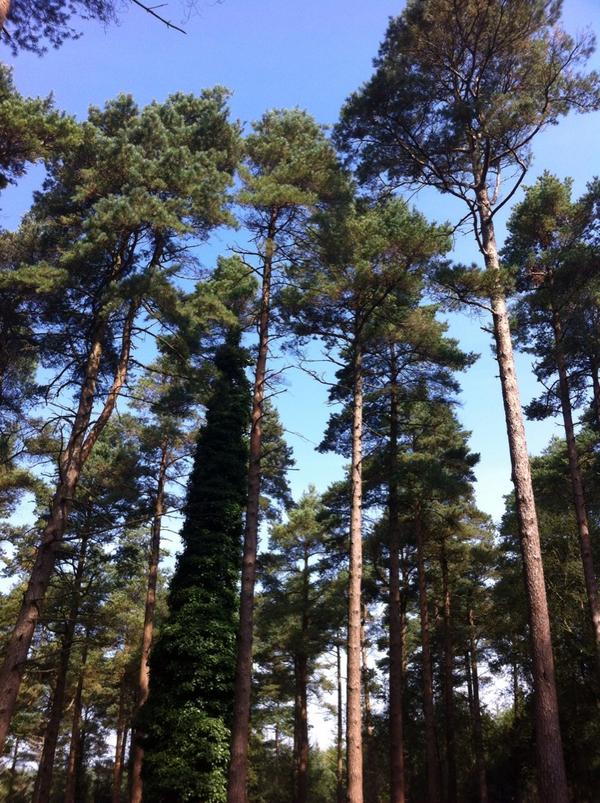 Baby Sensory Exeter tweet media