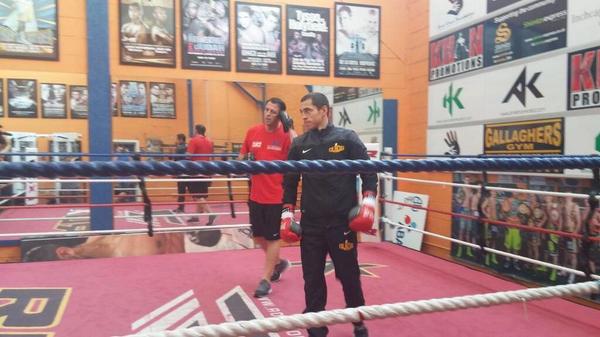 Boxing Mad tweet media