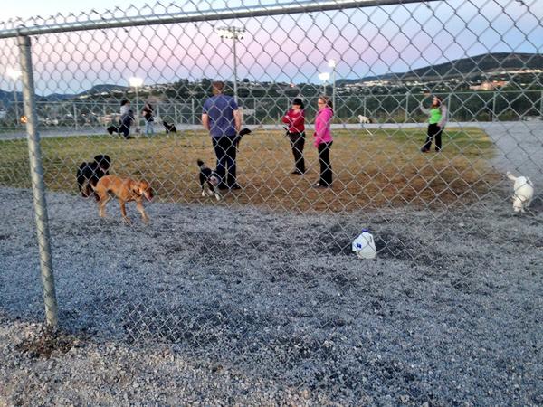 learn_nl's tweet image. where is park? “@charlespendercb: City's new dog park is getting tremendous use. So good to see :-) #cornerbrook http://t.co/jrFaUUGx7q”