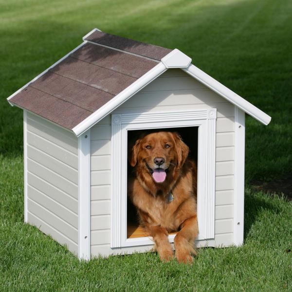 RescueRover's tweet photo. 8 essential steps to bringing your new dog into the home for the first time: http://t.co/BwMWYFtLRi http://t.co/R9EFHGaW4D