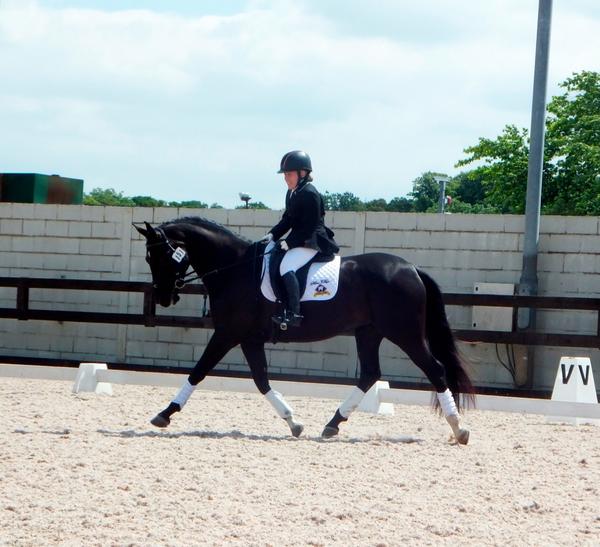natashaadkinson's tweet image. I want to say a huge thank you to my sponsors @BlueChipFeed. Cally&apos;s looked fantastic all summer! #performanceedge