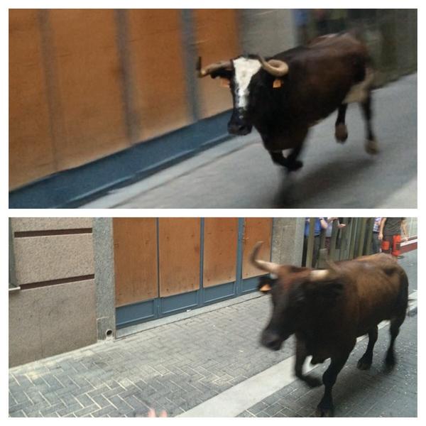 PLAguait's tweet photo. Vesprada de bous, i si estos no pasen sempre ens quedaran les Vaques! #MDG2014 http://t.co/UNHEMWO3Cw