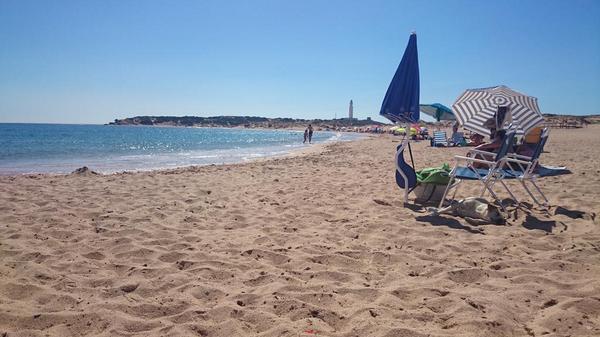 Lizzie_Gems tweet media