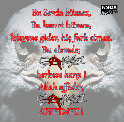 Bu sevda bitmez,
Bu hasret bitmez!