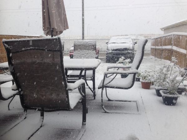 QuailsTale's tweet image. Good bye summer :'(