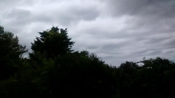 exaggeratc's tweet image. I just took some great pictures