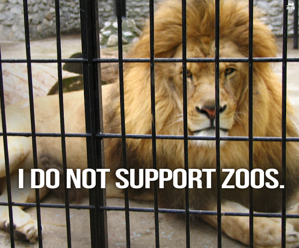 PETA tweet media