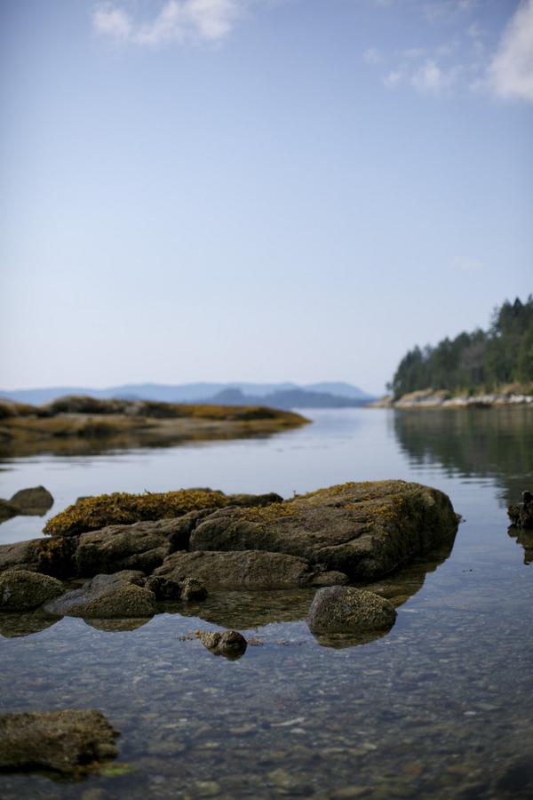 shanahandra's tweet image. wish i was here on this dreary september day. #missingbc #westcoastbestcoast