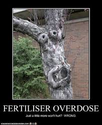 soilbio's tweet photo. http://t.co/Nw5s7E31KI