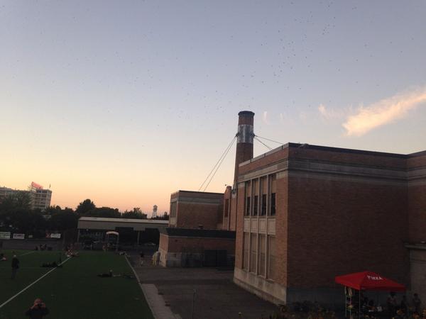 NickKrupke's tweet image. #SwiftWatch