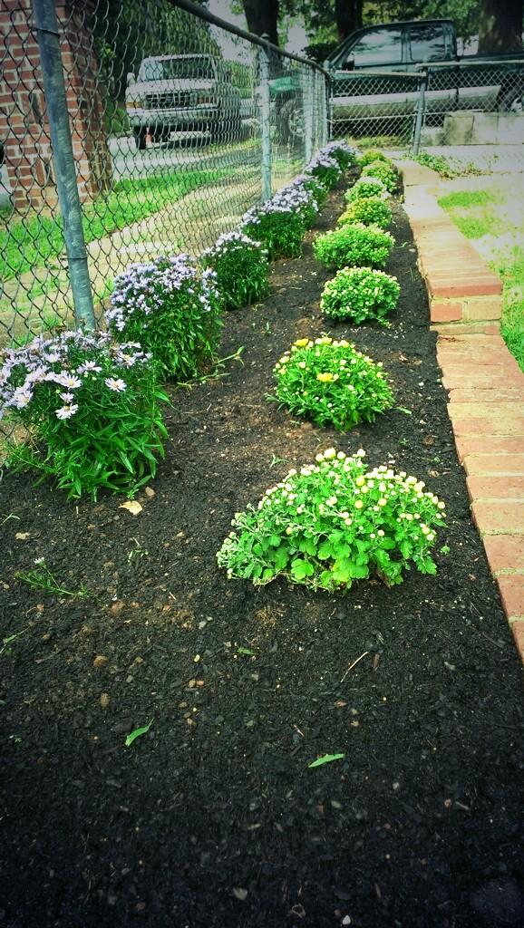 joehdz_92's tweet photo. The final look! 🌸🌿👍 great job @ERIC_J_QUARLES @TeamDepot #tillymill  #DoingMore4Vets #atlanta http://t.co/p8PTWAmt5U