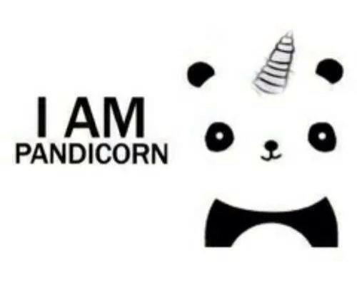 MongeMegan's tweet image. It&apos;s totally true #pandacorn