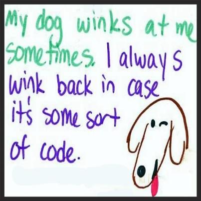 Nzymesforpets's tweet image. #dogcode #onlywegetit #secretlanguage
