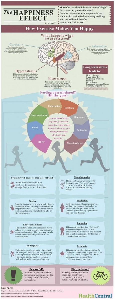 PhysedNow's tweet photo. Exercise makes you happy! #physed #hisdhpe @devans6434 @actionblearning http://t.co/2QAesXhr9c