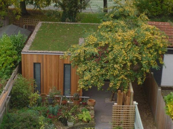 Wilt een grotere #tuin? Denk dan eens aan een #groendak op uw tuinhuisje <a href="/gwnlkkrgrn/">Gewoon Lekker Groen</a> <a href="/ThuisTuinieren/">ThuisTuinieren.nl</a> @ZinInGroen