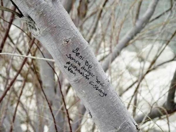 " Beni öp,
Sonra doğur beni..."

(Cemal Süreya) 

#CemalSüreya #ŞiirSokakta