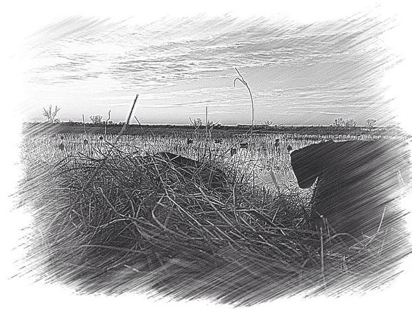 Jerdevries's tweet image. Love this pic!!! Cpl more days till it'll be time to drop some teal!!!!