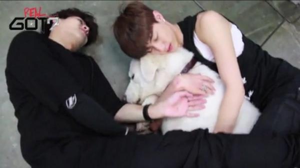 markson_jarkTH's tweet photo. ก็ไม่มีอะไรมาก แค่นอนกอดหมาด้วยกัน มือค่ะๆๆแอร๊ยยยเขิน \(//∇//)\ #JARK #markson #คู่รักคนรักหมา//ขอโคฟเป็นหมา1วัน555 http://t.co/dnHNTrjuRh