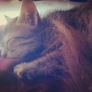 <a href="/shafaqnaaz777/">Shafaq Naaz</a> Liza was sleeping..so cuuteeee...☺☺♥☺☺