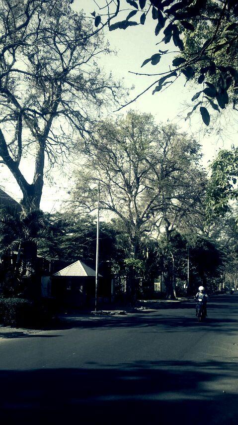 Nah kaaaann :) "@iwinsopran: Meranggas sepanjang jalan. "