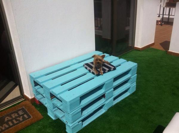 Small_lazydog's tweet photo. En mi #new #sofa!! #goodlife #buenavida #thebestdog #summer #AndariaNecesitandoQue #gafasdesol 
#lazydog #Adopt #Dogs http://t.co/w2tiL4TVPg