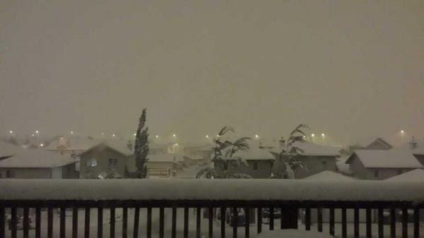 yandingcalgary's tweet photo. 刮暴风雪了/::<这让我怎么去上班 http://t.co/WFZ2Ww8Ijs