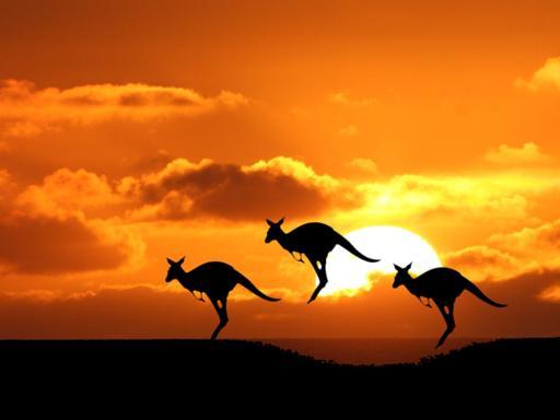 Corriere's tweet photo. Quei 10 mila italiani dispersi  tra lavoro e sogni in Australia   http://t.co/R4iDOIu6E5 http://t.co/3kir61WLMq