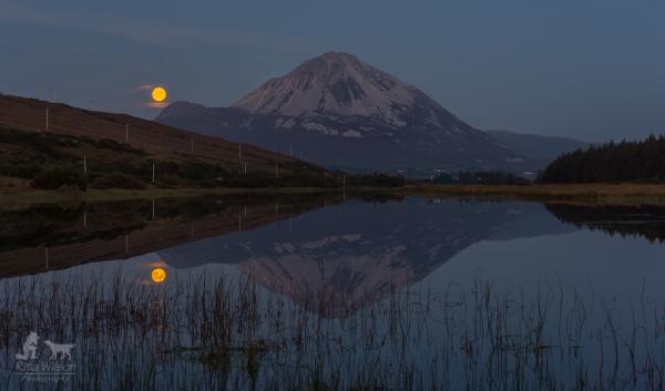 wildatlanticway's tweet photo. Errigal moonrise RT @ritawilsonphoto
Moonrise at Errigal Mountain last night @visit_donegal #errigal  #moonrise http://t.co/zjo9Tj6yd1