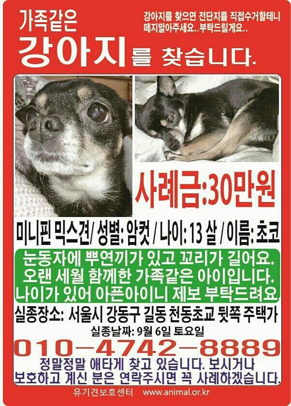 beartung317's tweet photo. @FromCareKorea  애타게 찾고있습니다.. http://t.co/8jiSSTbJaV