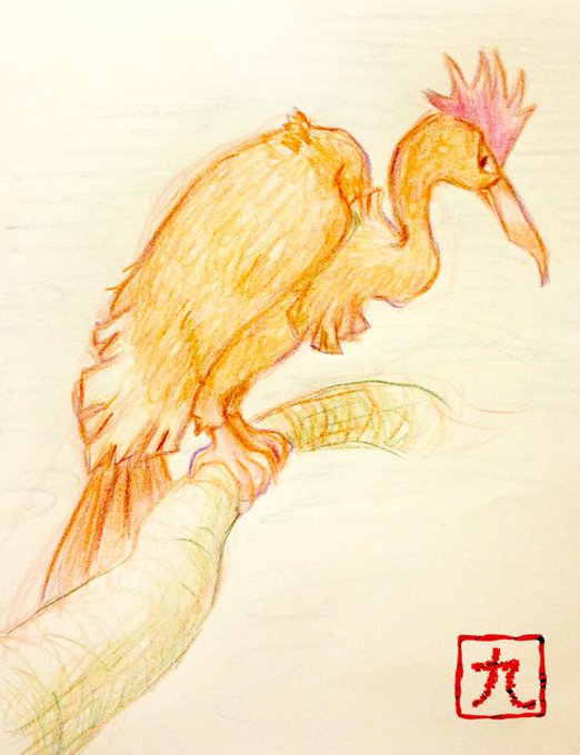オニドリルのtwitterイラスト検索結果 古い順