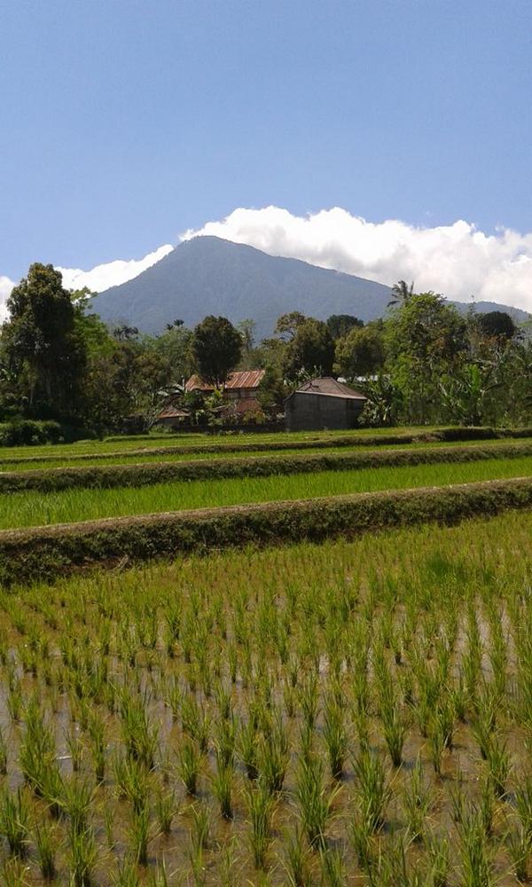 Werdhi John tweet media