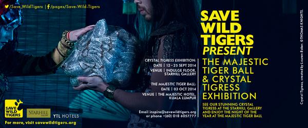 Save_WildTigers's tweet photo. The Crystal Tigress Exhibition launches this week @starhillgallery - if u are in KL make sure u take a look! #tigers http://t.co/1doIvn3h1o