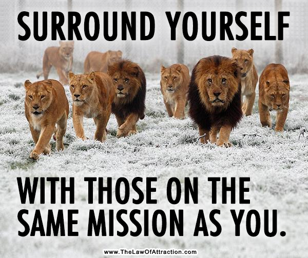 DiamondMind510 tweet media