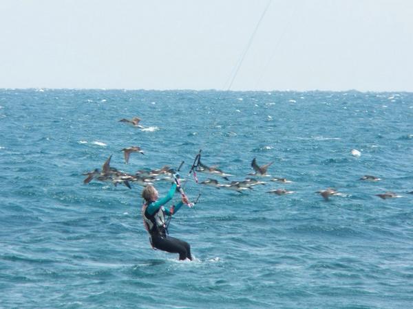 Rather be kite surfing in Ecuador .....