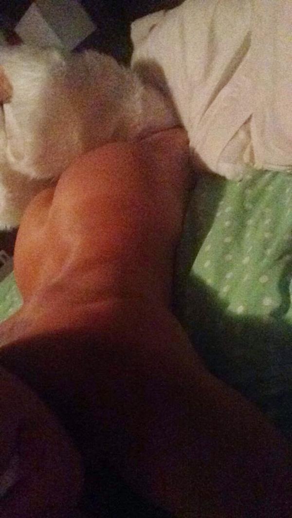 _commish's tweet photo. #HappyHumpDay @KeringtonCruz @Onlybadchicks @mfcgirlz #KerisBootyBAM #BootyProtected #SpankBooty #SnapchatBooty http://t.co/9l5YqWX0Mt