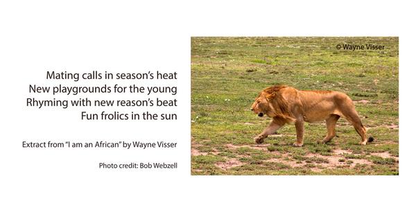 VisserBooks's tweet photo. Mating calls in season’s heat 
New playgrounds for the young 
Rhyming with new reason’s beat 
@WayneVisser http://t.co/M0reDtVB4y