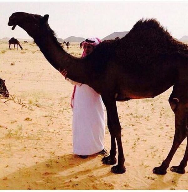 okk529's tweet photo. " من منقية عبدالله الفصام http://t.co/jFvwWpBX8Q"