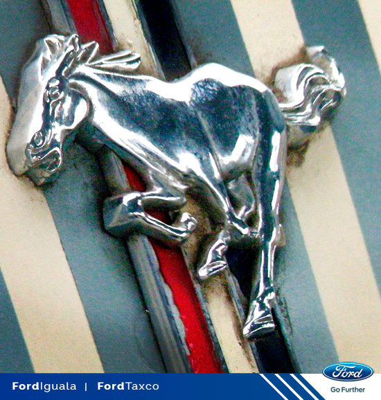 FordIguala's tweet photo. En #Ford somos inigualables. Siempre compitiendo por ser mejores. @FordIguala @FordMexico http://t.co/rkDMSM3AJS