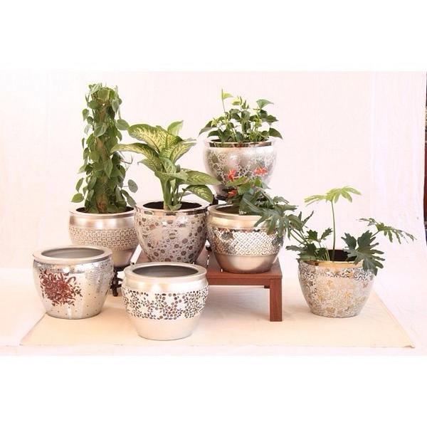 트위터의 حدائق السلطان 님 تشكيلة المراكن الفضية المتنوعة لغرف المعيشة والمداخل حدائق السلطان السعودية مراكن Pots Sultangardn الرياض جدة Http T Co Noajhe6ie4