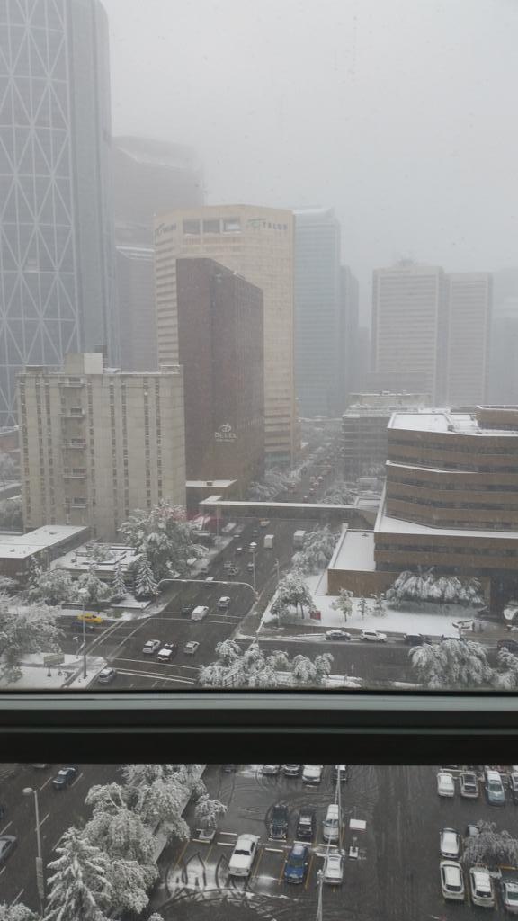 CalgaryTalking's tweet photo. #calgary city today!!! #yyc cover on snow http://t.co/BYqtxJvYGN