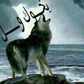 a4h0's tweet photo. @dl3_alzain http://t.co/SXlhrI0ThH