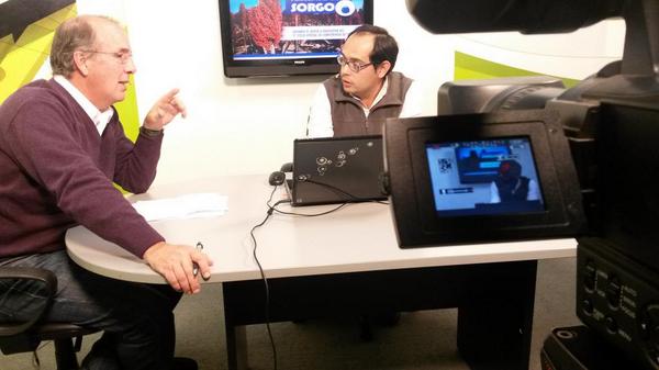 HablemosdeSorgo's tweet image. Ya estamos en vivo con Pedro Pardo hablando de Manejo para Produccion de Sorgo de Alto Potencial en @agrositio