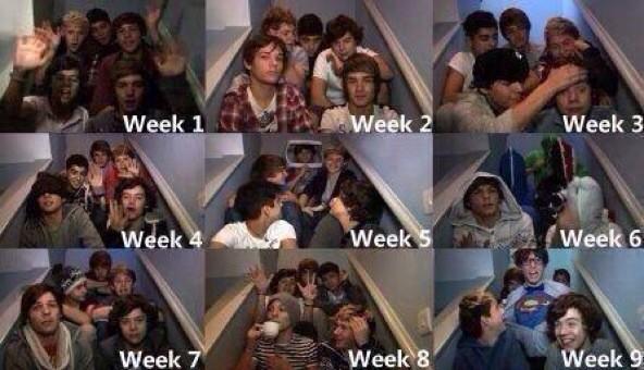 PayusFox's tweet photo. Los extraño..
#MTVEMA #NomimateOneDirection #1DNotes http://t.co/y0LBxmBj7M