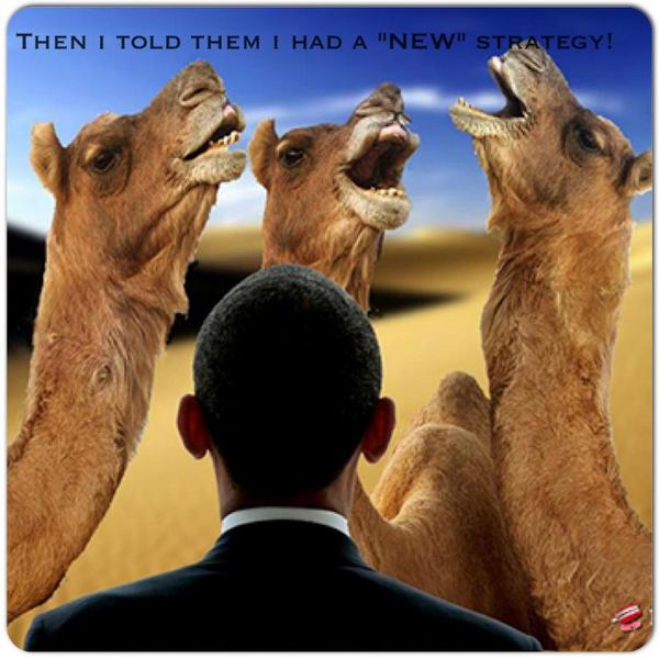 johnb631's tweet image. #HappyHumpDay #ObamaSpeech @boobrown1000 @D0LLbrown @gregdabutcher @LIBSRSCUM @tunarose2 @heatherbob45