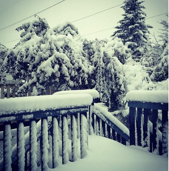 MadelnCanada's tweet photo. Meanwhile, in Alberta... http://t.co/Ckf64bHkrR