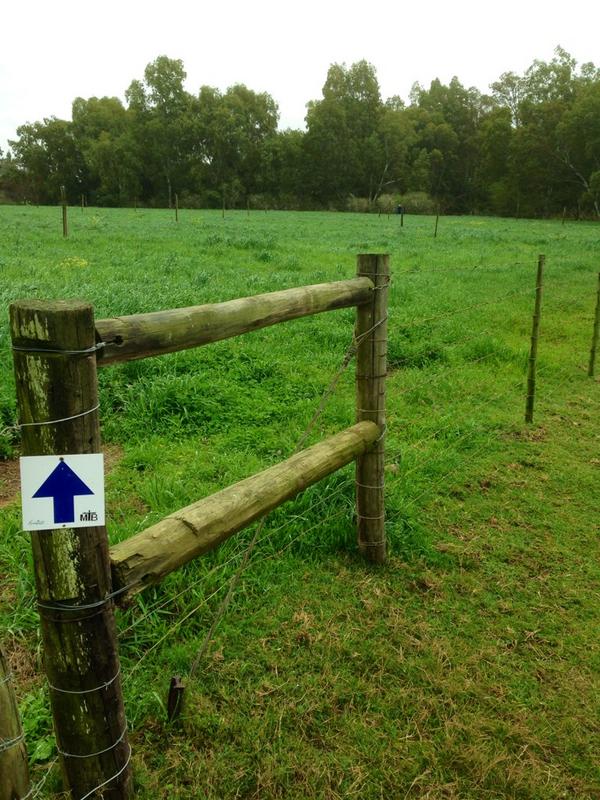 #routemarkers for the <a href="/JacoKambati/">jaco_kambati</a> Mountain Bike Route opening soon.